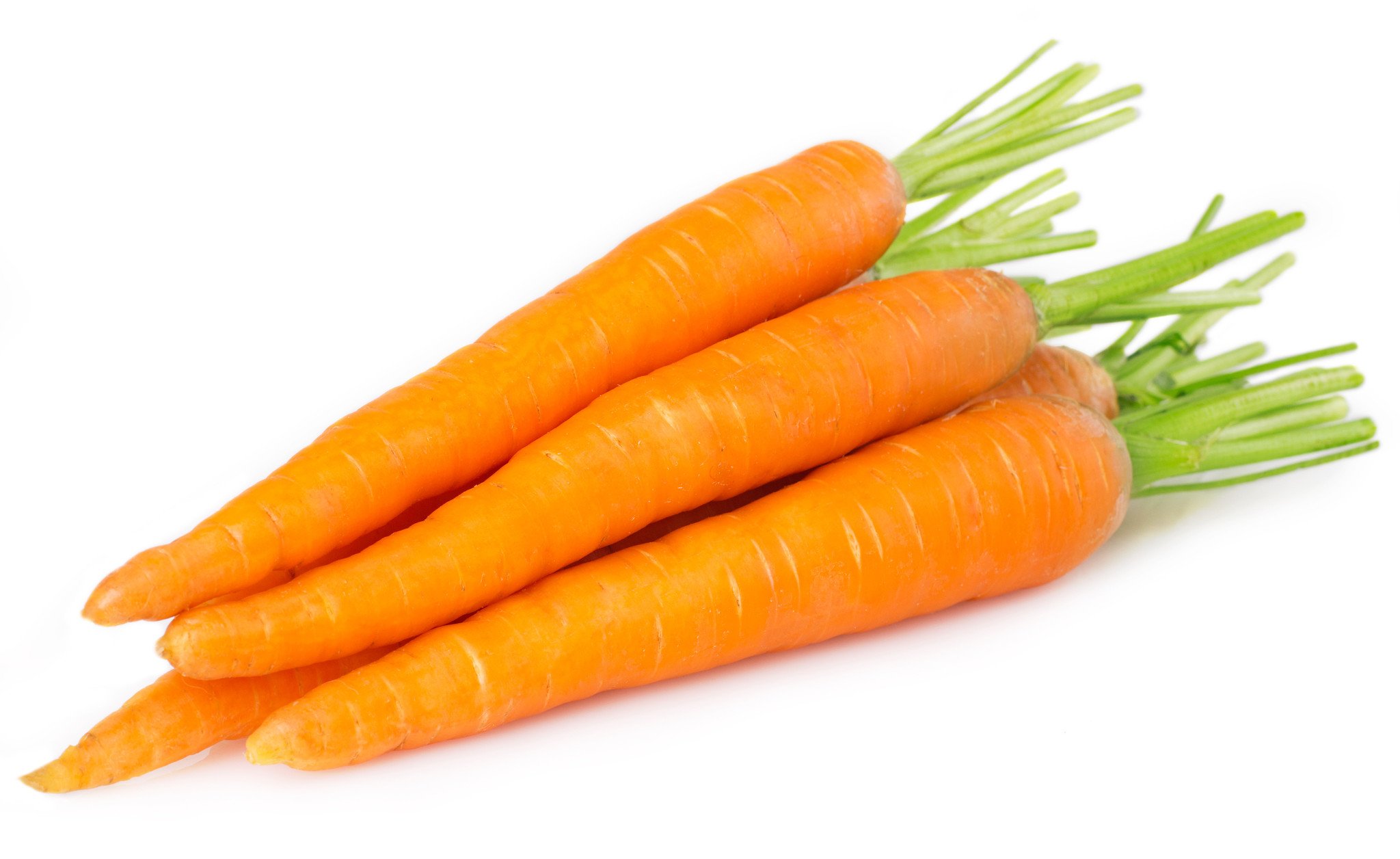 干草药 - Carrot 胡萝卜 500g