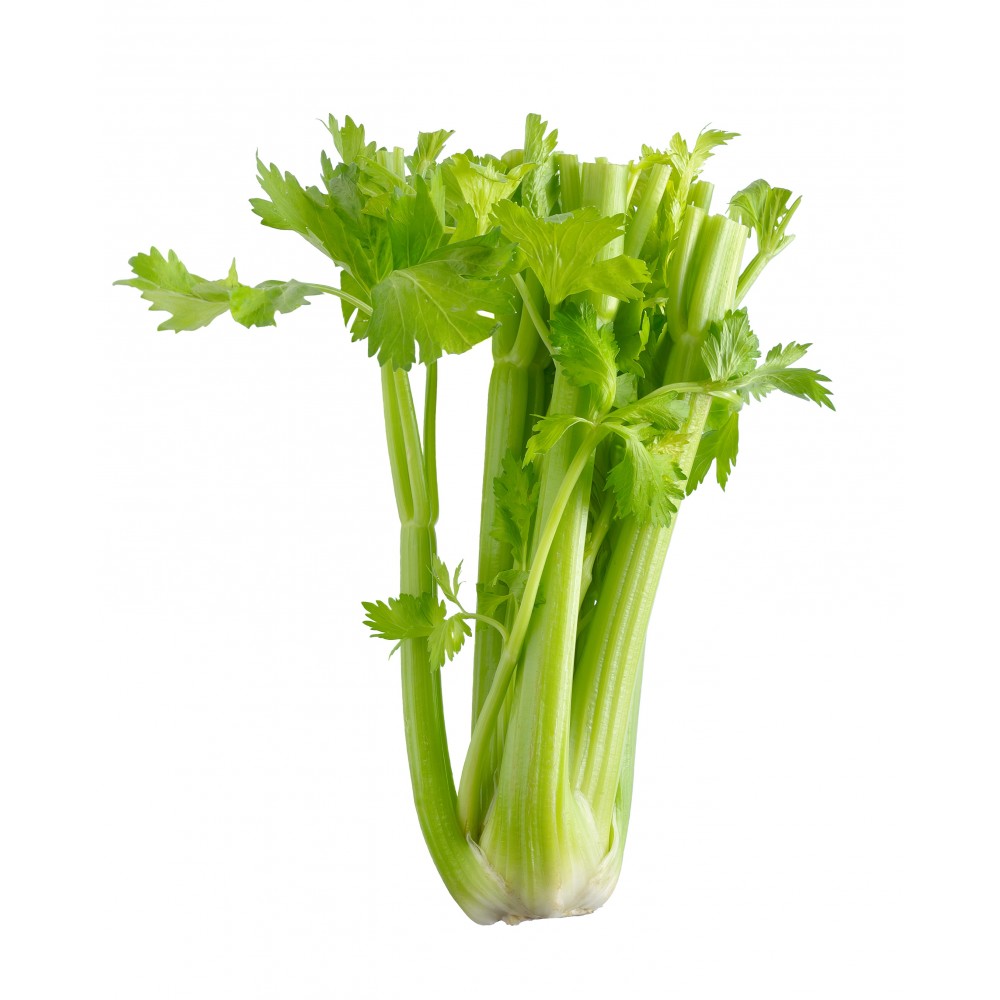 干草药 - Celery 芹菜 500g