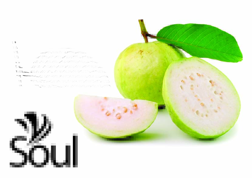 干草药 - Guava 番石榴 1kg