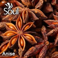 干草药 - Anise 大茴香 1KG