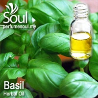 Herbal Oil Basil - 50ml