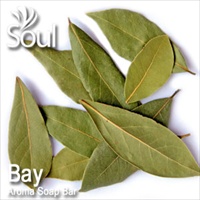 Aroma Soap Bar Bay Leaf - 1kg