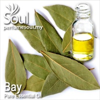 月桂叶精油 - 10毫升 Bay Leaf Essential Oil