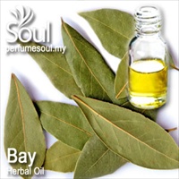 Herbal Oil Bay - 50ml