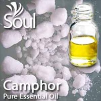 樟脑精油 - 10毫升 Camphor Essential Oil