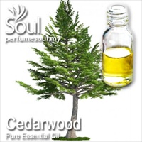 柏木精油- 10毫升 Cedarwood Essential Oil