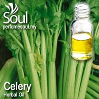 Herbal Oil Celery - 50ml