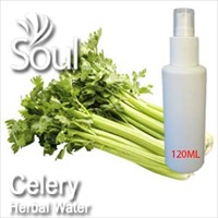 芹菜精油 - 10毫升 Celery Essential Oil - 点击图像关闭