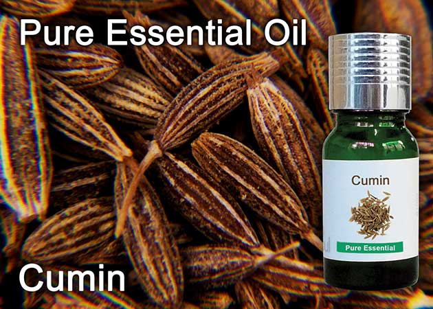 小茴香精油 - 10毫升 Cumin Essential Oil