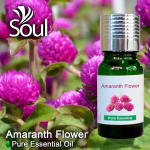 千日红花精油 - 10毫升 Amaranth Flower Essential Oil