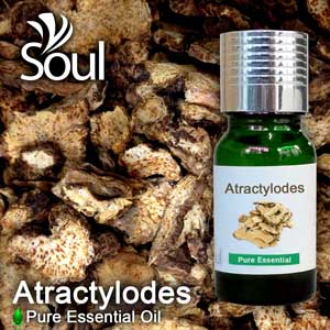 白术精油 - 10毫升 Atractylodes Essential Oil
