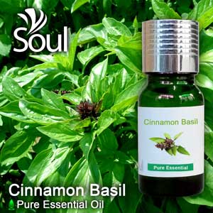 九层塔精油 - 10毫升 Basil - Cinnamon (Thai Basil) Essential Oil