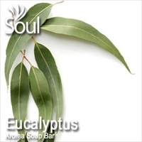 Fragrance Eucalyptus - 10ml - 点击图像关闭