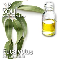 桉树精油 - 10毫升 Eucalyptus Essential Oil