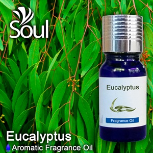 Fragrance Eucalyptus - 50ml