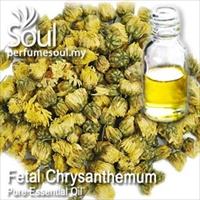 胎菊精油 - 10毫升 Fetal Chrysanthemum Essential Oil