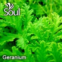 干草药 - Geranium - Lemon Geranium 天竺葵 1kg