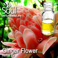 Herbal Oil Ginger Flower - 50ml