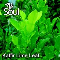 干草药 - Kaffir Lime Leaf 麻疯柑叶 500g