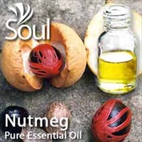 豆蔻精油 - 10毫升 Nutmeg Essential Oil