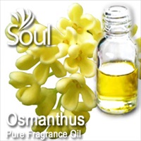 Fragrance Osmanthus - 10ml