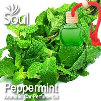 Peppermint Aromatic Car Perfume Oil - 8ml