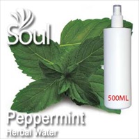 Herbal Water Peppermint - 500ml