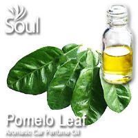 Pomelo Leaf Aromatic Car Perfume Oil - 50ml