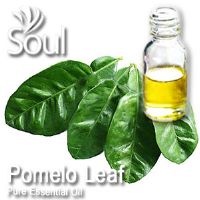 柚子叶精油 - 10毫升 Pomelo Leaf Essential Oil