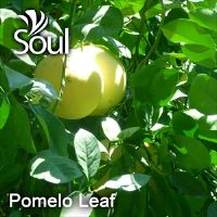 干草药 - Pomelo Leaf 柚子叶 500g