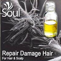 Essential Oil Repair Damage Hair - 10ml