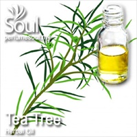 Herbal Oil Tea Tree - 50ml