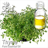 百里香精油 - 10毫升 Thyme Essential Oil