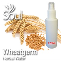 Herbal Water Wheatgerm - 120ml