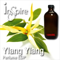 Perfume EDP Ylang Ylang - 1000ml