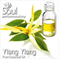 依兰精油 - 10毫升 Ylang Ylang Essential Oil