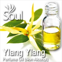 Perfume Oil (Non Alcohol) Ylang Ylang - 50ml